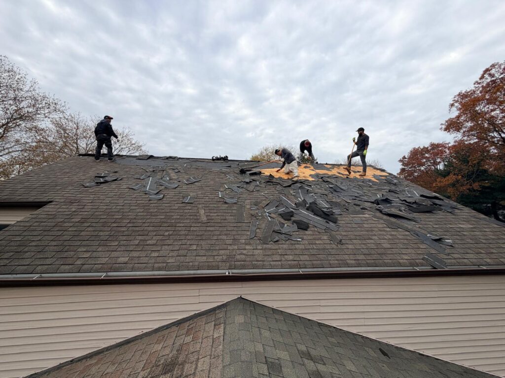 Home 5 WhatsApp Image 2026 04 08 at 9.55.43 PM